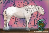 Horse Color:Chestnut Snowcap