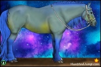 Horse Color:Watercolor Bay