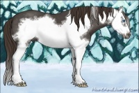 Horse Color:Liver Red Roan Splash Frame
