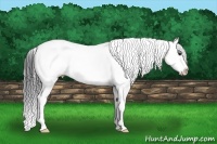 Horse Color:Black Ice Sabino Splash 