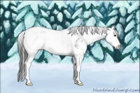 Horse Color:Black Ice Sabino Splash