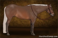 Horse Color:Silver Brown 