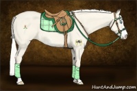 Horse Color:Cremello Dun Sabino