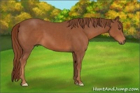 Horse Color:Chestnut Frame