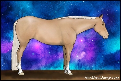 Horse Color:Silver Brown Pearl Sabino 