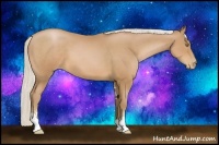 Horse Color:Silver Brown Pearl Sabino 