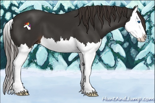 Horse Color:Liver Chestnut Splash 