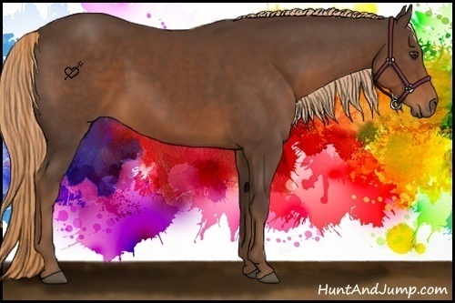 Horse Color:Liver Chestnut Rabicano 