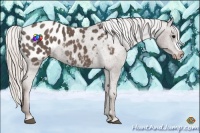 Horse Color:Silver Black Blanket Rabicano