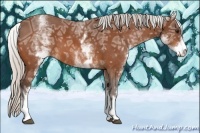 Horse Color:White Spotted Silver Bay Ice
