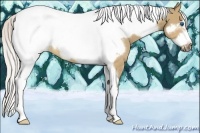 Horse Color:Silver Brown Dun Tobiano Frame Rabicano