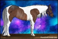 Horse Color:Bay Tobiano Rabicano 