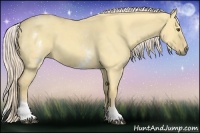 Horse Color:White Spotted Palomino Roan Dun 