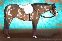 Horse Color:White Spotted Buckskin Splash Frame 