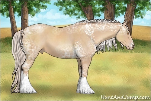 Horse Color:White Spotted Silver Classic Champagne Ice Sabino 