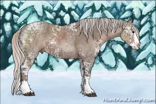 Horse Color:Silver Black Ice Sabino Splash 