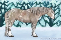 Horse Color:Silver Black Ice Sabino Splash 