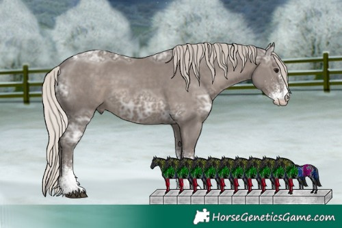 Horse Color:White Spotted Silver Black Ice Tobiano 