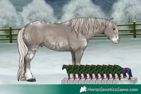 Horse Color:White Spotted Silver Black Ice Tobiano 