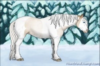 Horse Color:Silver Black Pearl Sabino Splash Tobiano 