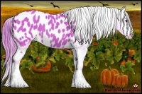 Horse Color:Watercolor Chestnut Near Leopard