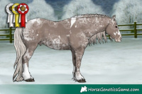 Horse Color:White Spotted Silver Black Ice Splash Tobiano