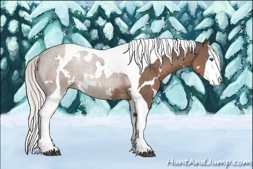 Horse Color:White Spotted Silver Black Splash Tobiano