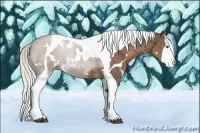 Horse Color:White Spotted Silver Black Splash Tobiano 
