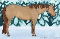Horse Color:Red Dun