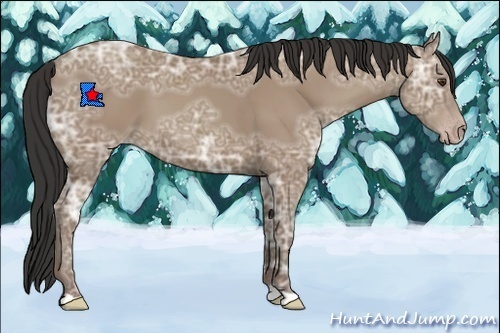 Horse Color:Classic Champagne Ice 