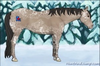 Horse Color:Classic Champagne Ice 