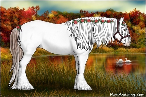 Horse Color:Red Dun Ice Roan Splash Appaloosa