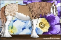 Horse Color:Red Dun Splash