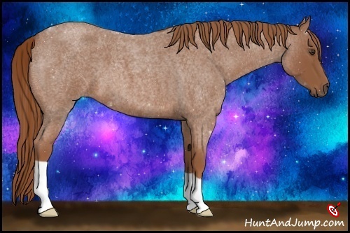 Horse Color:Red Roan 