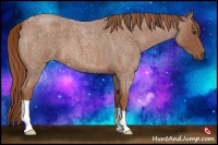Horse Color:Red Roan
