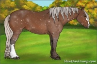 Horse Color:Silver Bay 