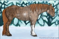 Horse Color:Chestnut Ice 