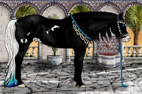 Horse Color:White Spotted Silver Amber Cream Champagne Pearl Dun Splash Appaloosa 