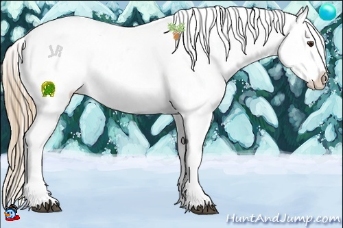 Horse Color:Liver Chestnut Sabino Appaloosa 