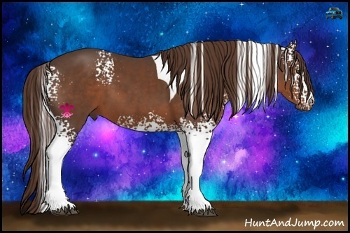 Horse Color:White Spotted Liver Chestnut Tobiano 