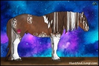 Horse Color:White Spotted Liver Chestnut Tobiano 