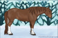 Horse Color:Chestnut Tobiano