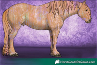 Horse Color:Nacre Watercolor Brown Rabicano  Brindle