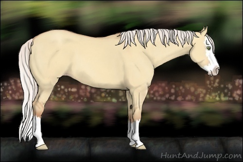 Horse Color:Silver Amber Champagne Dun Sabino Splash 