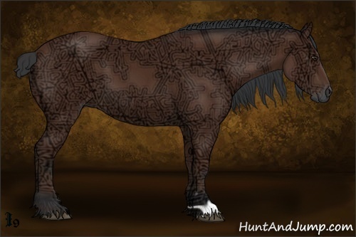 Horse Color:Bay Ice 