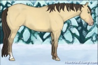 Horse Color:Amber Cream Champagne Dun Sabino