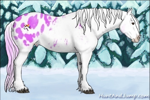Horse Color:Watercolor Chocolate Palomino Sabino Appaloosa Rabicano 