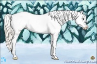 Horse Color:Silver Brown Ice Dun Varnish Rabicano
