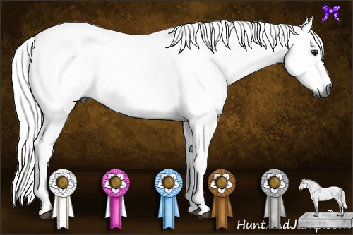 Horse Color:Gray Silver Bay
