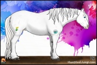 Horse Color:White Spotted Silver Black Splash Appaloosa 